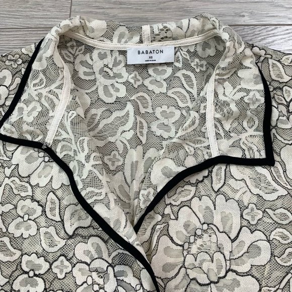 Aritzia Babaton Hopkins Cream Lace Blouse Top - Picture 9 of 12